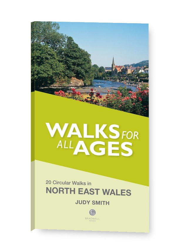 Cover of Walking N E Wales Walks for all Ages