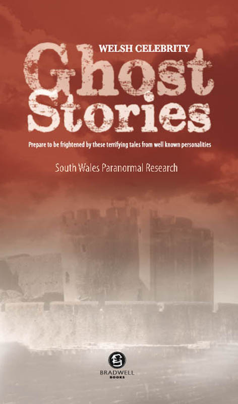 Cover of Welsh Celebrity Ghost Stories