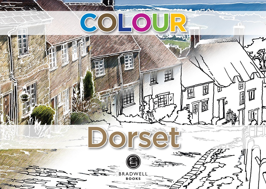 Cover of Colour Dorset