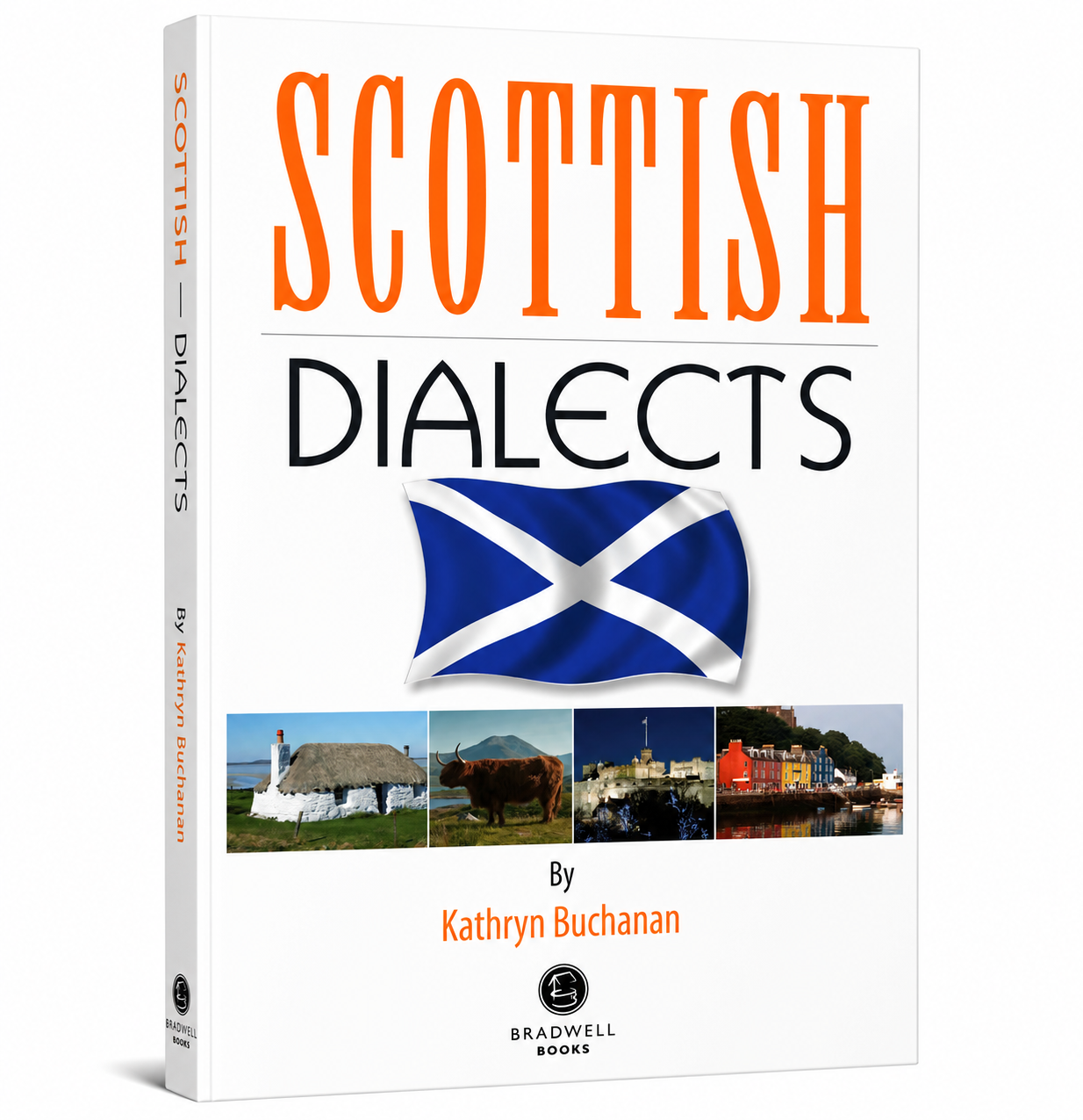 Scottish Dialects 3D book cover