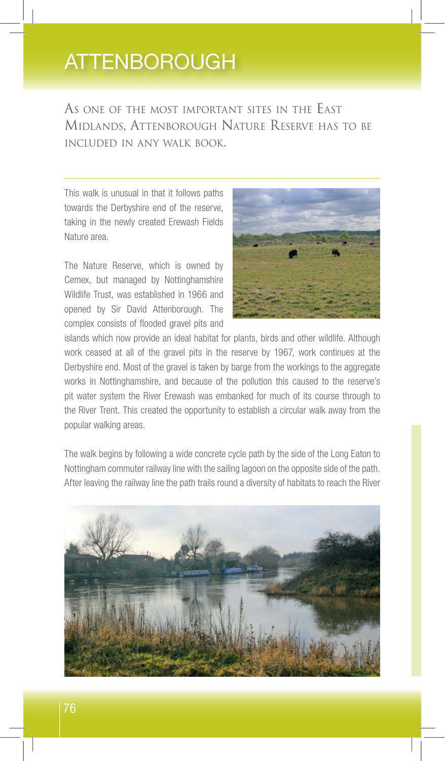 Towards The Derbyshire End Of The Reserve, sample page from Walking Nottinghamshire