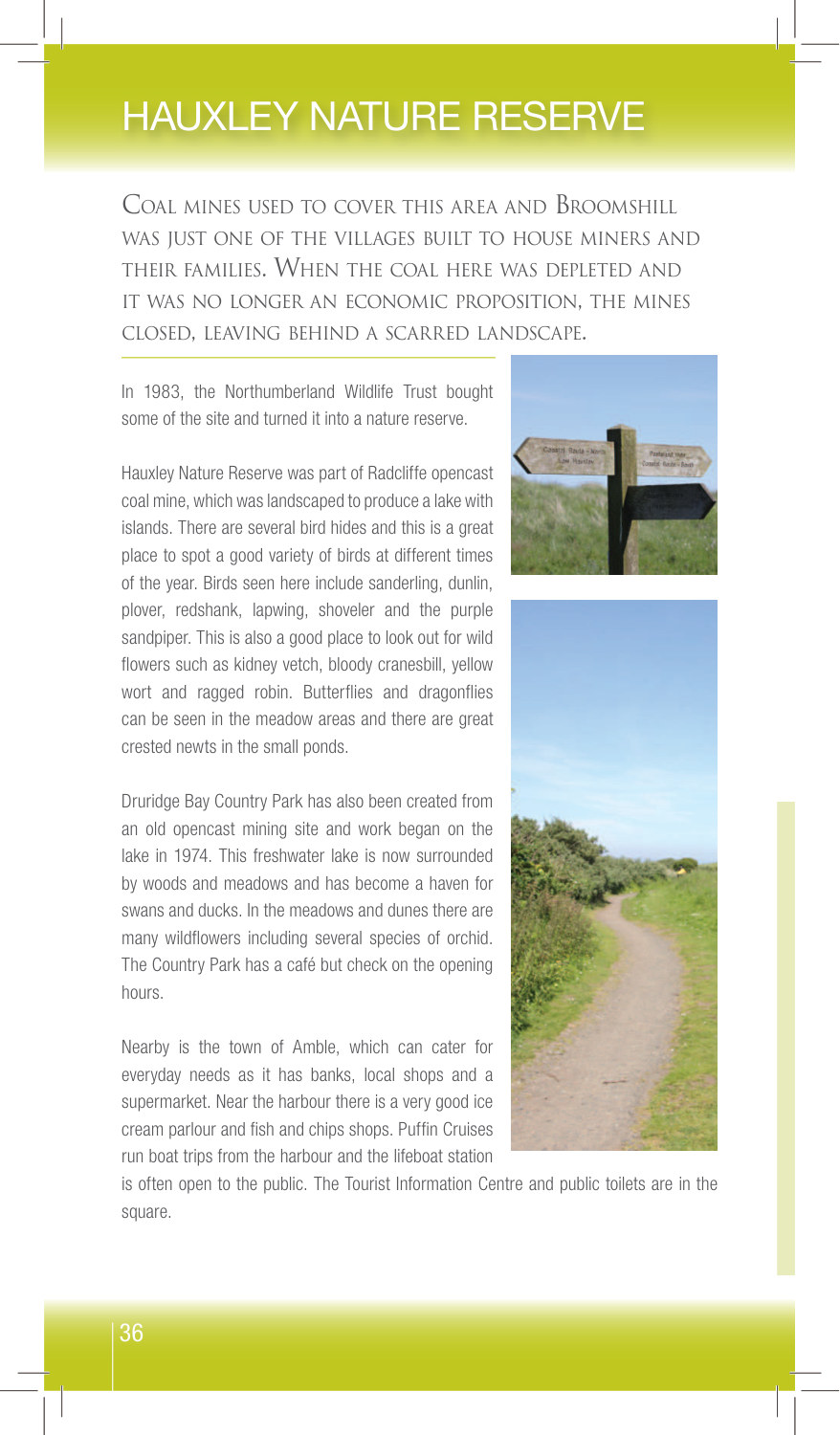 Hauxley Nature Reserve sample page from Walking Northumberland