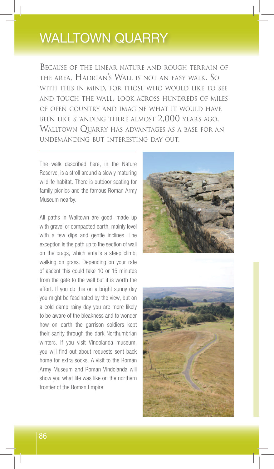 Walltown Quarry sample page from Walking Northumberland