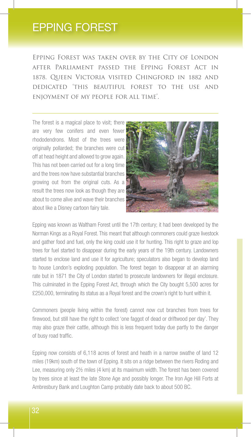 Epping Forest sample page from Essex