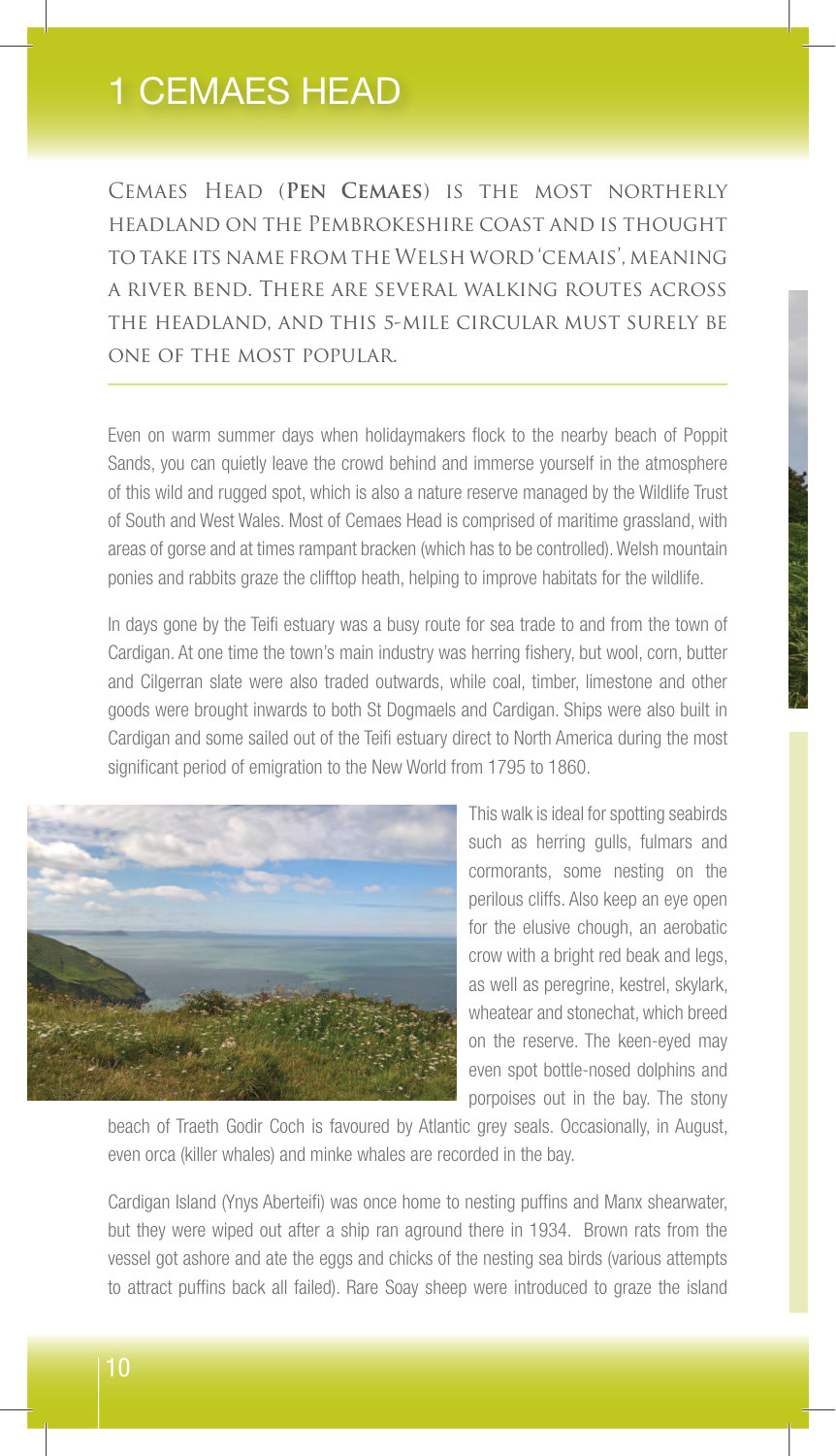 1 Cemaes Head sample page from Walking Pembrokeshire