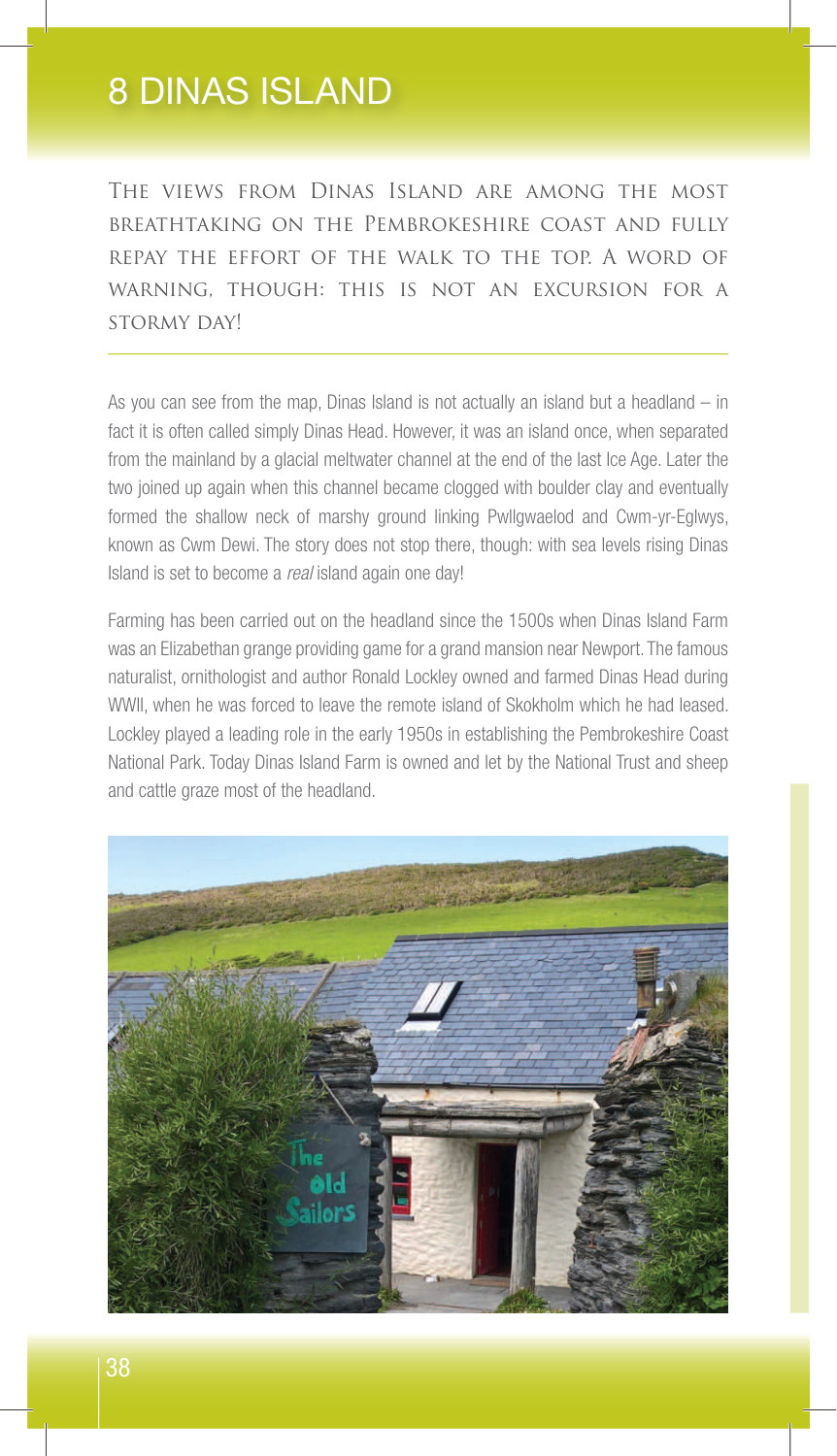 8 Dinas Island sample page from Walking Pembrokeshire